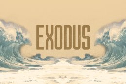 Image result for exodus